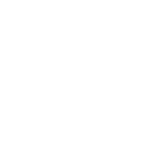 icone wordpress