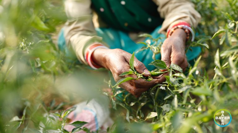 Bayer Environmental Science